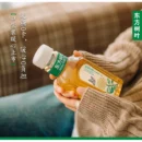 Nongfu Spring Oriental Leaf Tea (CTN) 东方树叶茶 农夫山泉(箱)500mlx15